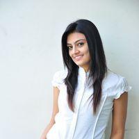 Nikita Narayan at It's My Love Story Movie Preemeet - Pictures | Picture 116713